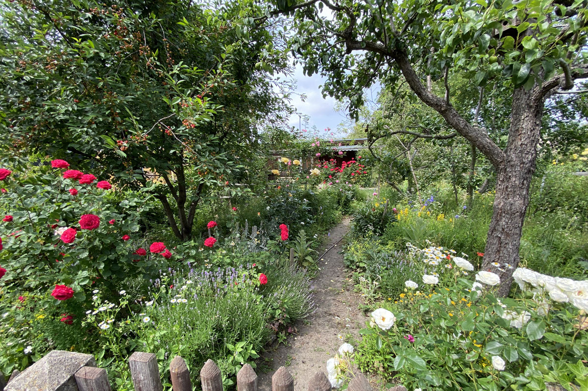 Leipzig sucht wieder den schönsten „Naturnahen Kleingarten“ 